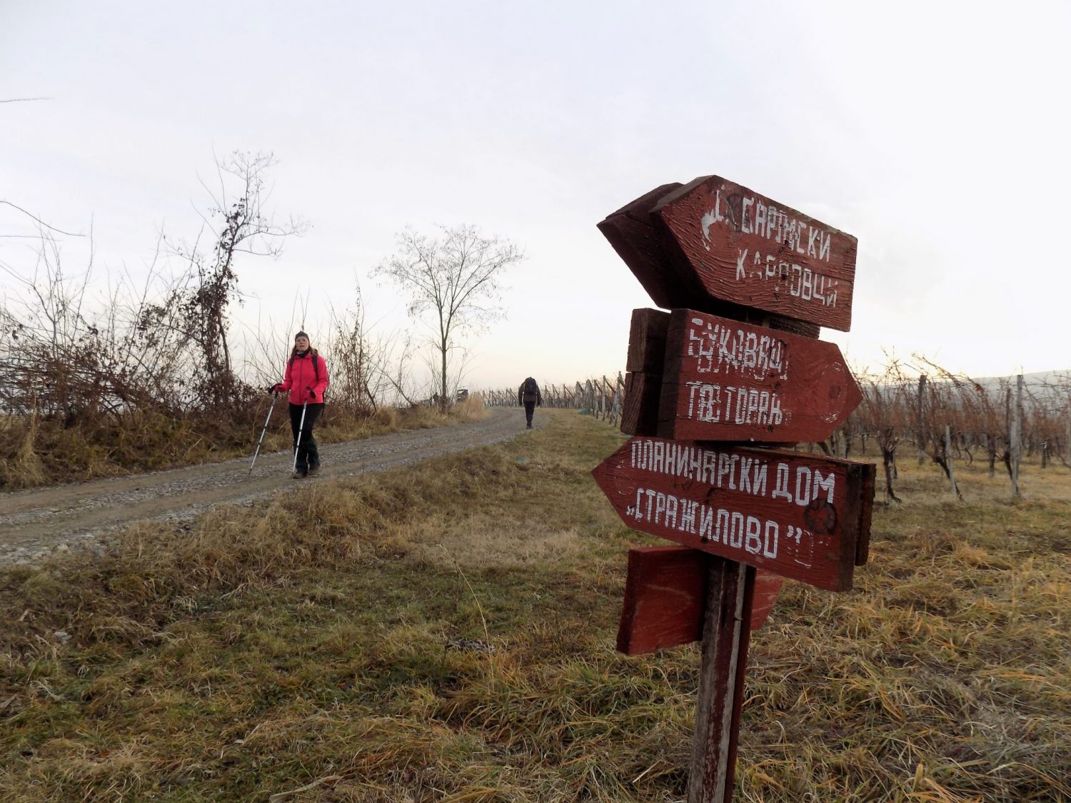 Stražilovo-Bukovac, active holiday on Fruška Gora