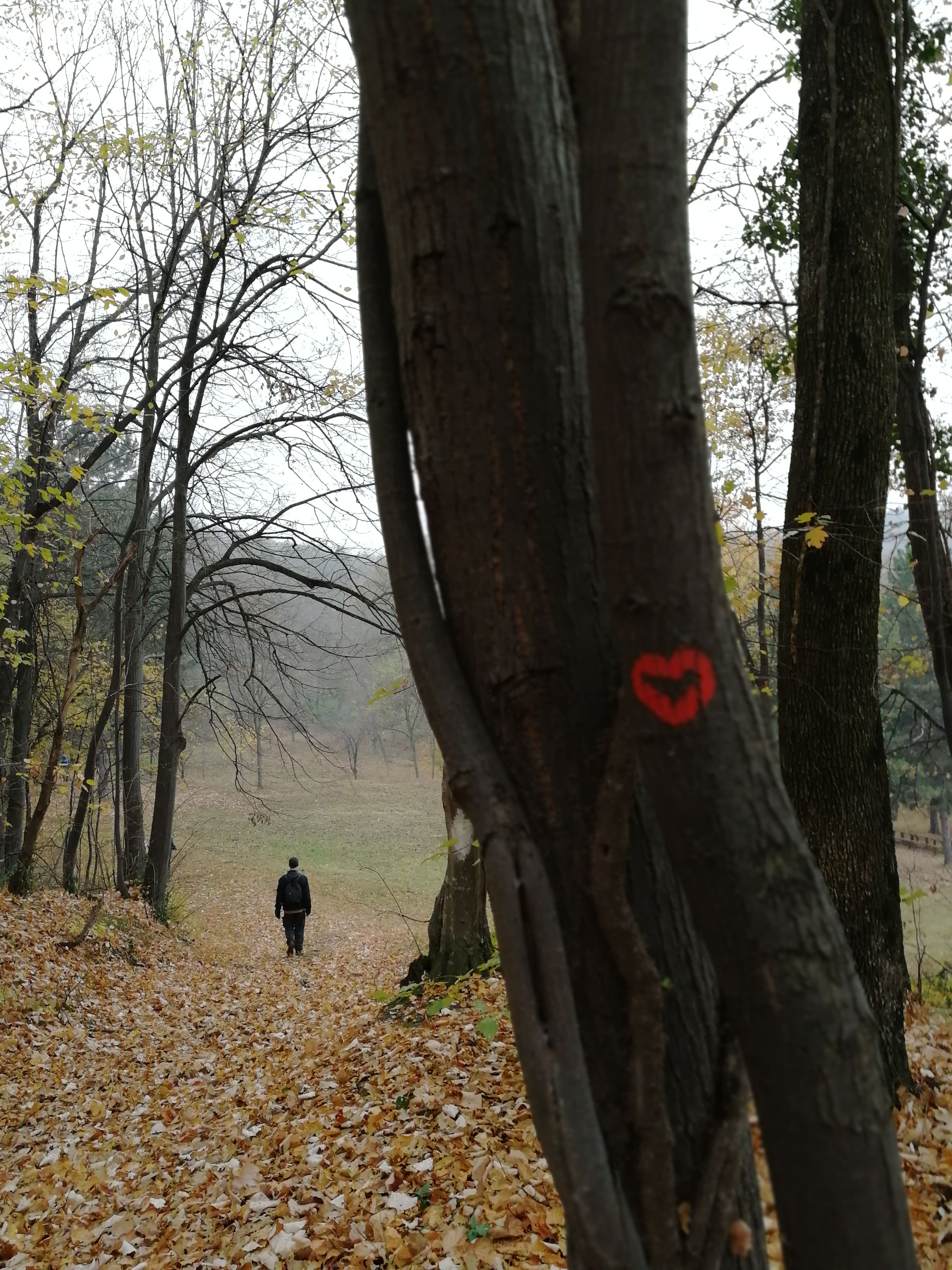 Fruška Gora hiking, active holiday on Fruška Gora