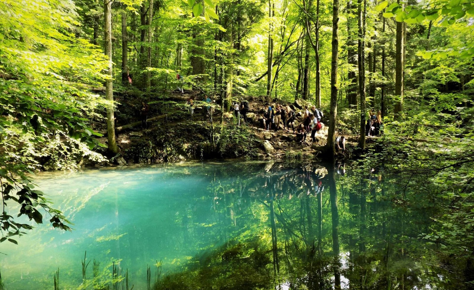 The Nera Gorge-Beușnița National Park