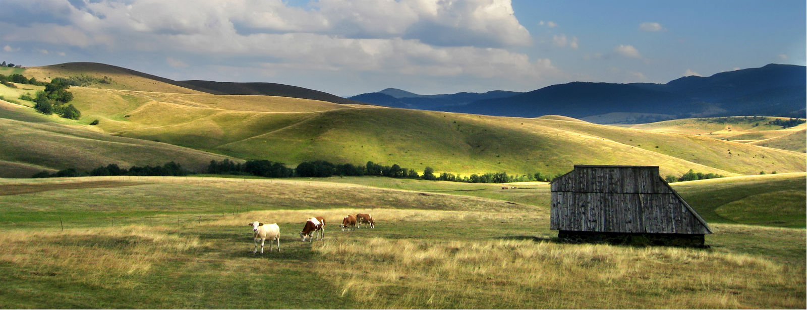 Zlatibor hiking