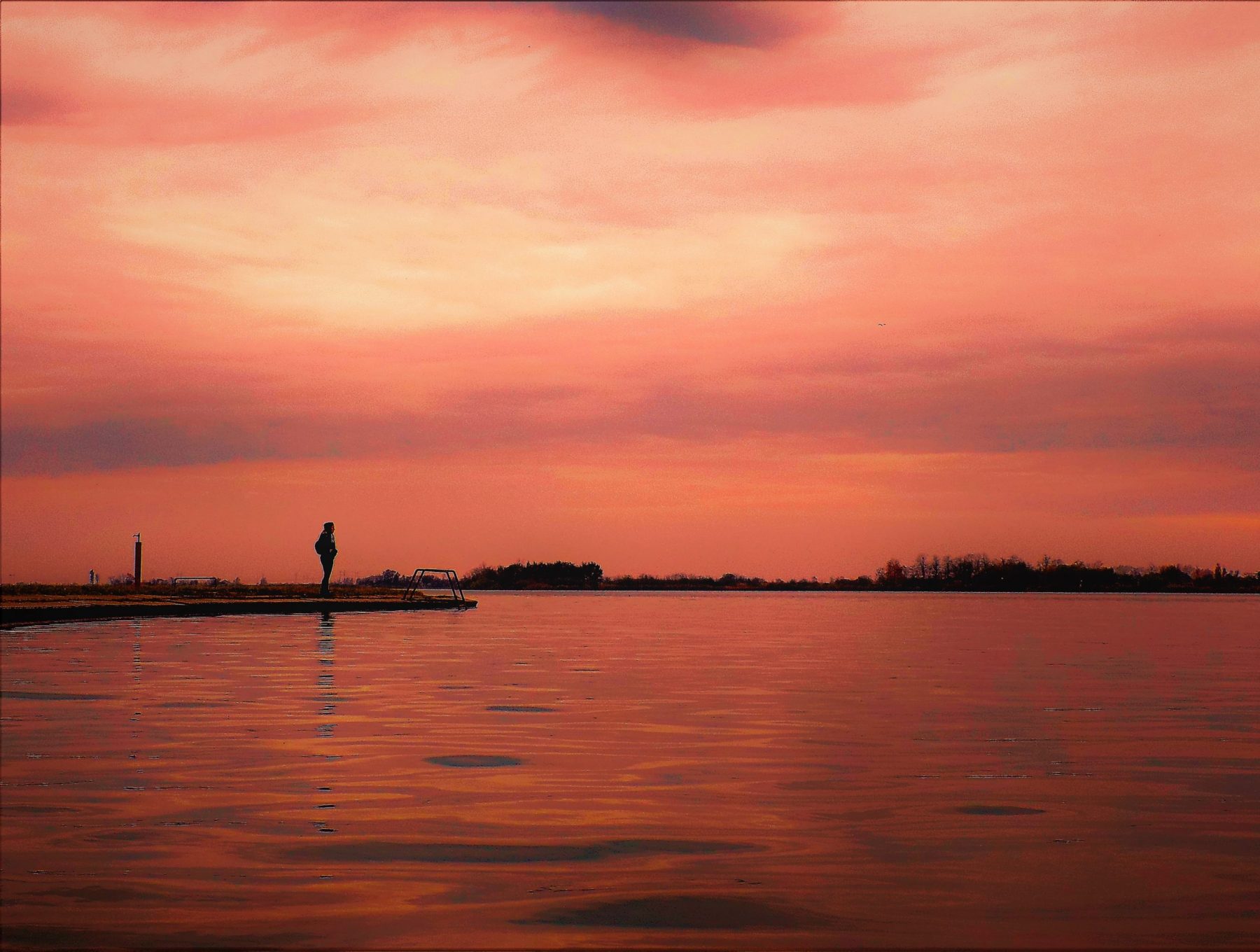 Palić lake