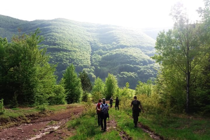 Hiking Stara planina
