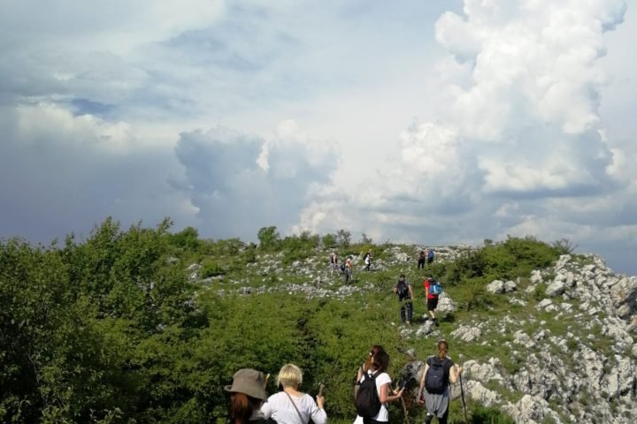 hiking on the Homoljske mountains
