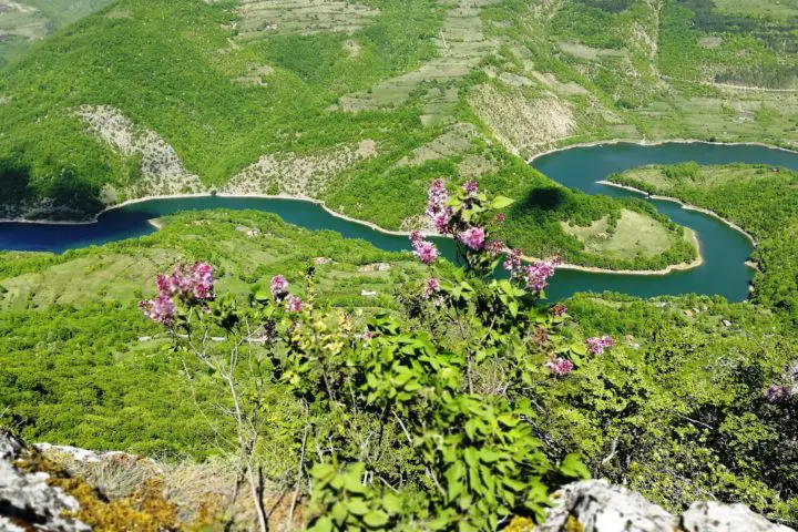 Zavojsko jezero, Stara planina