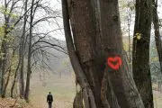 Fruska Gora hiking