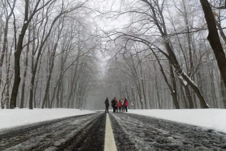 Fruška Gora hiking