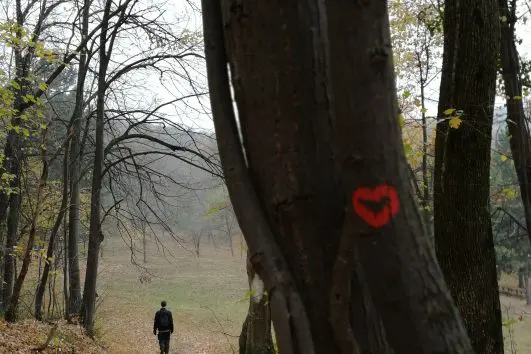 Fruška Gora hiking