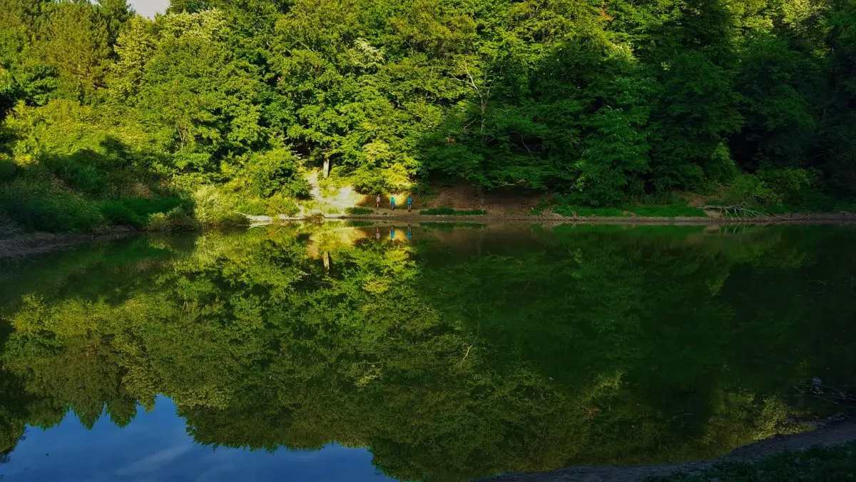 Popovičko jezero Fruška gora