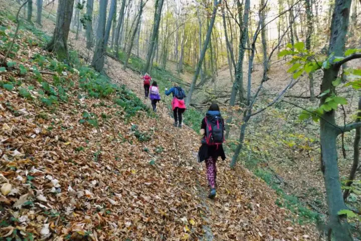 Hiking Fruška gora