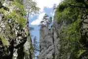 kanjon Beli Rzav Tara
