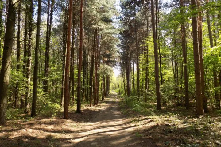 Fruška gora hiking