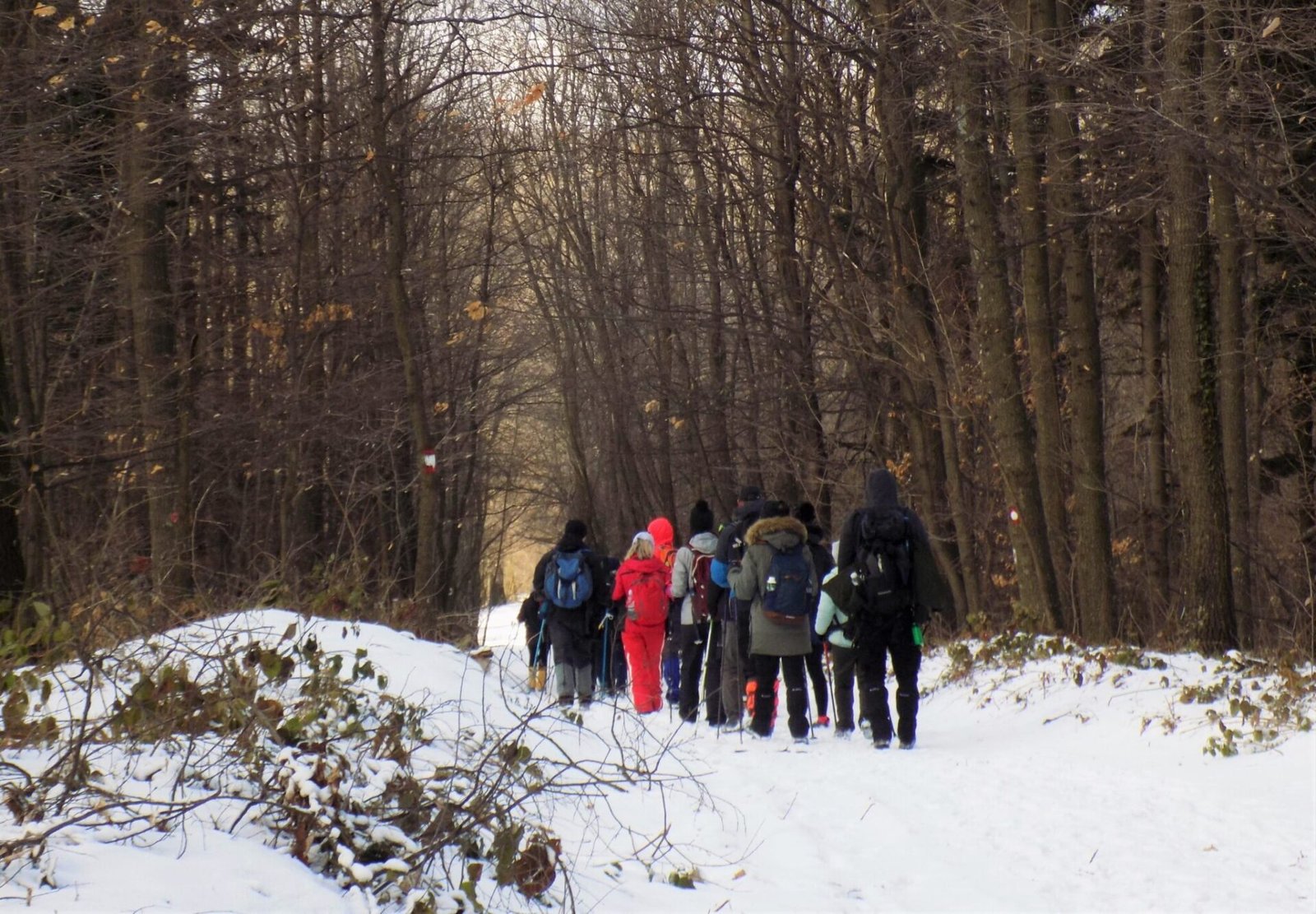 Cer hiking and thermal resort Bogatic