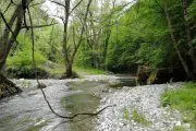 The gorge of the river Gradac