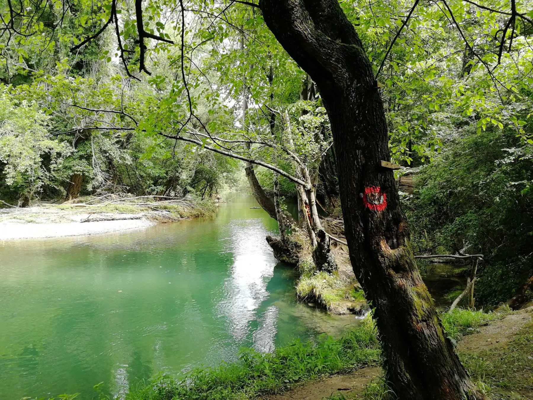 klusura reke Gradac, pešačke ture iz Beograda