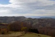 Planina Tornička Bobija