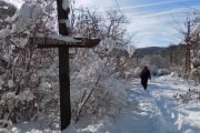 Fruška gora zimski hiking