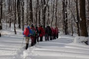 Fruška gora Andrevlje Letenka zimski hiking