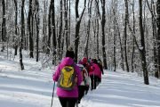 Fruška Gora winter hiking