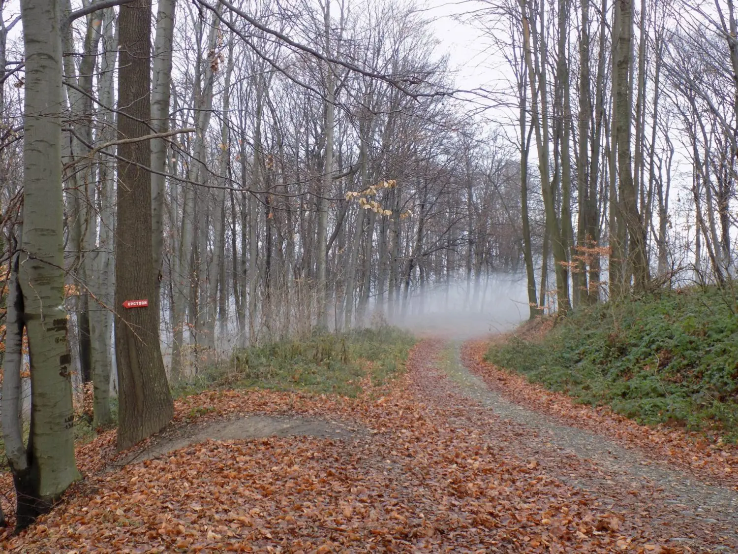 Cer hiking, pešačke ture iz Beograda