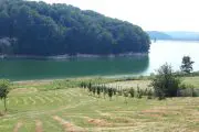 Bukuljsko jezero