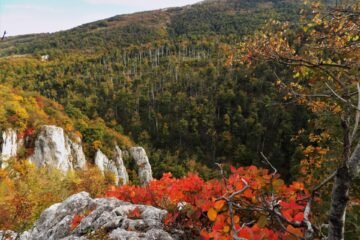 prolazak kroz Lazarev kanjon izlet, Poreklo - avanturistička hiking tura