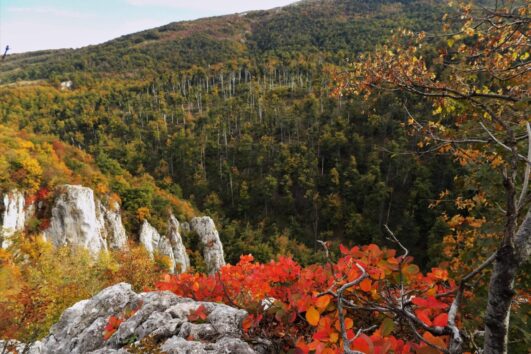 prolazak kroz Lazarev kanjon izlet, Poreklo - avanturistička hiking tura