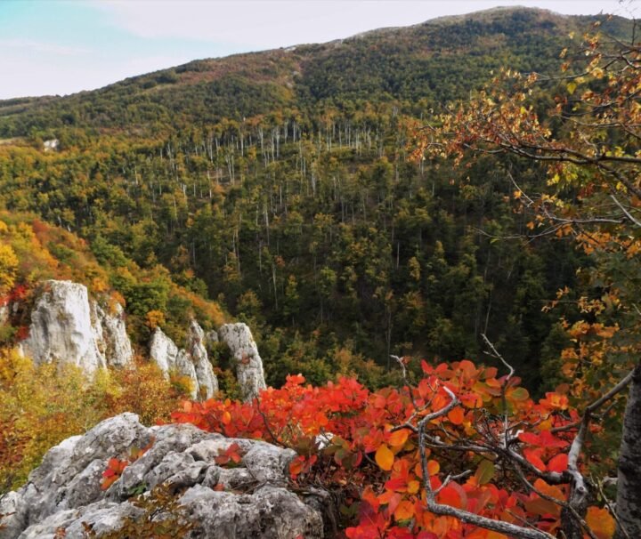 prolazak kroz Lazarev kanjon izlet, Poreklo - avanturistička hiking tura