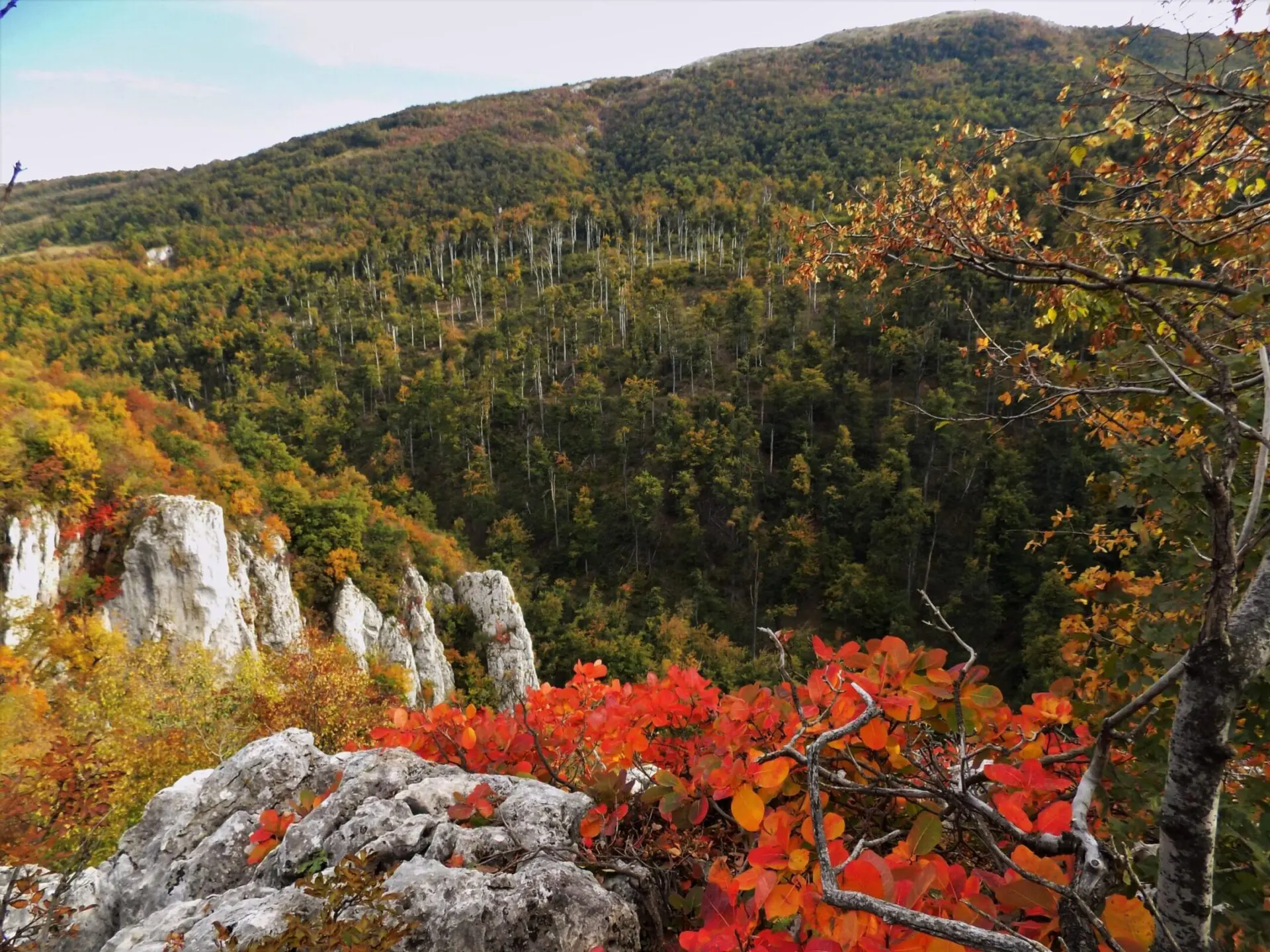 prolazak kroz Lazarev kanjon izlet, Poreklo - avanturistička hiking tura