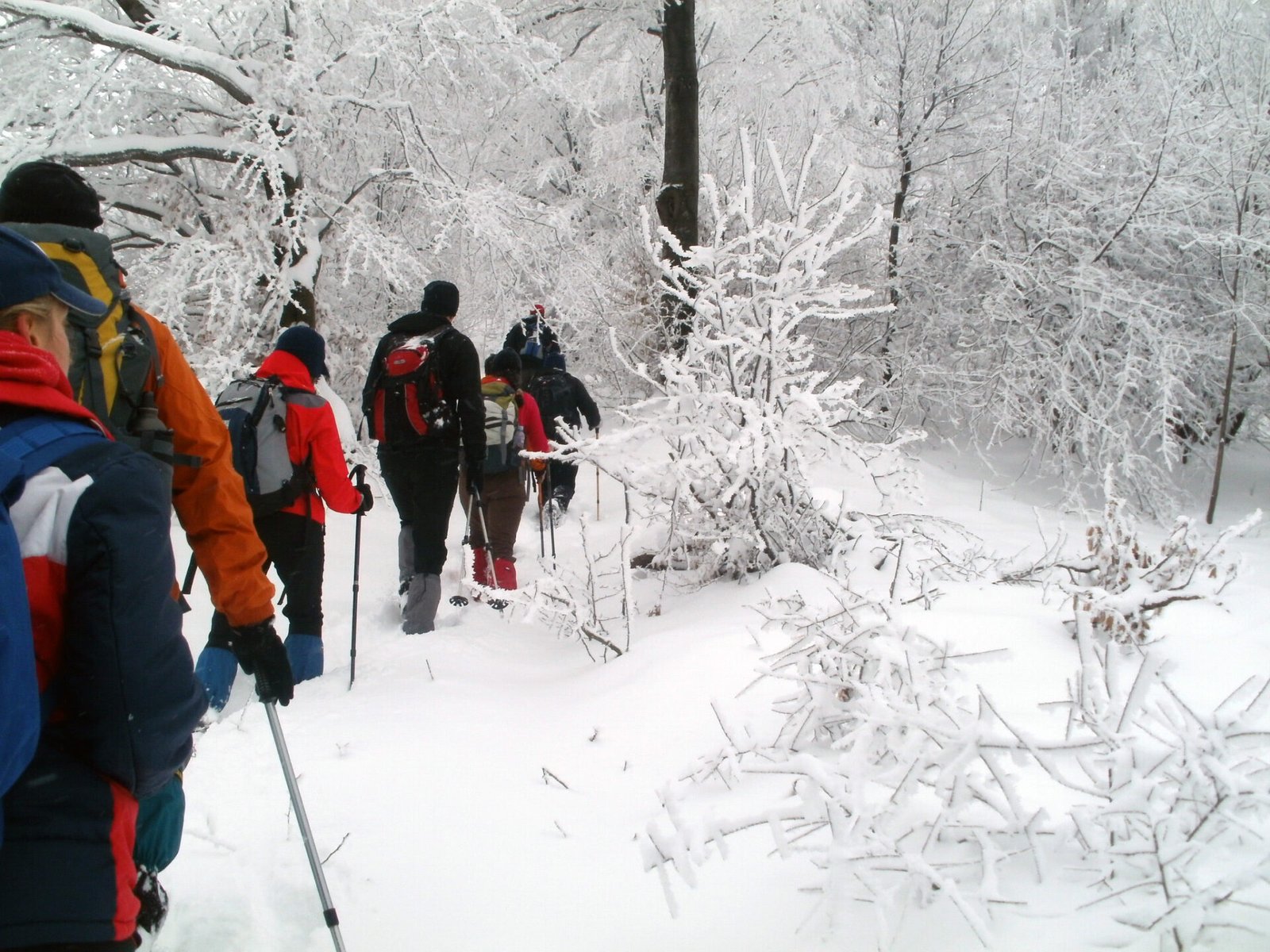 Rajac-zimski hiking u novogodišnjem prazničnom danu