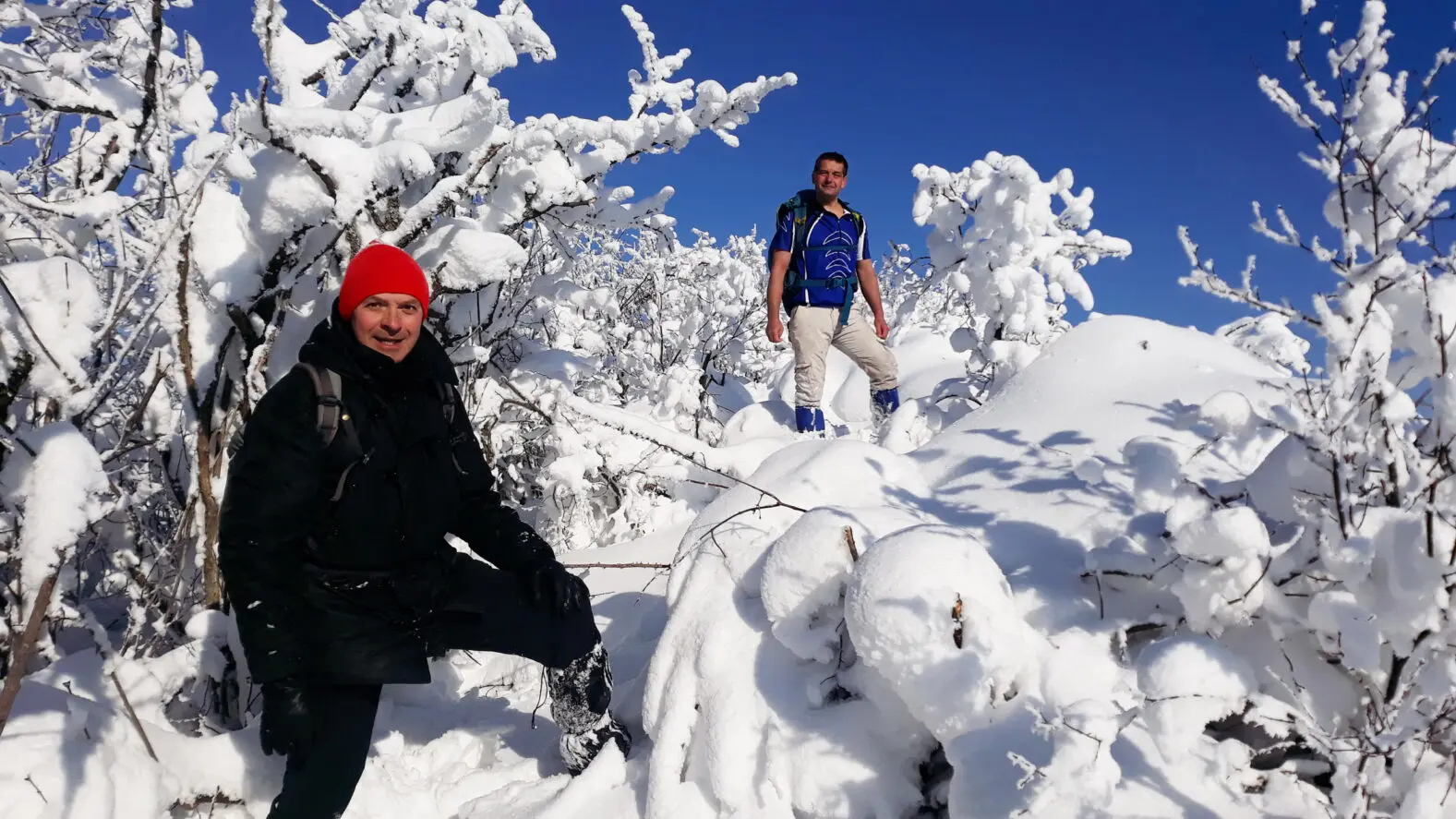 Planina Starica u zimu