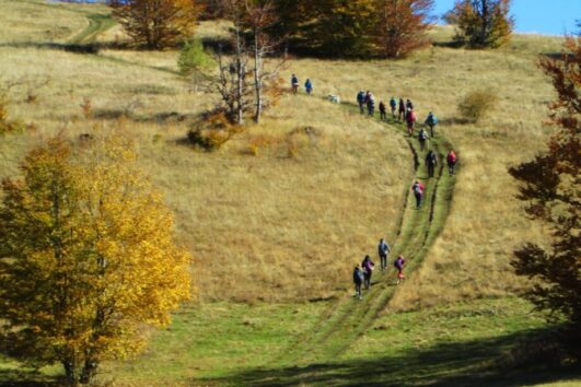 Povlen u jesen, pešačenje izlet