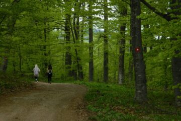 Suvobor hiking