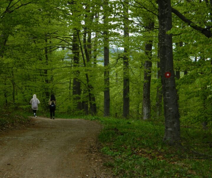 Suvobor hiking