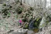 Fruška gora-Srneći potok