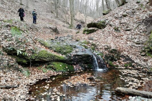 Fruška gora-Srneći potok