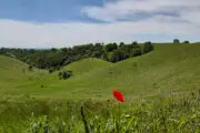 Zagajička brda u proleće