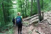 Homolje hiking