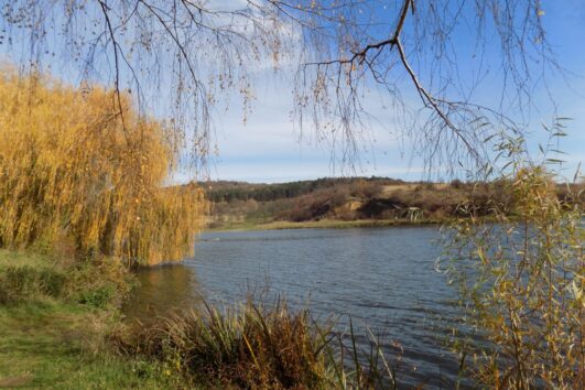 Šid and Fruška Gora lakes