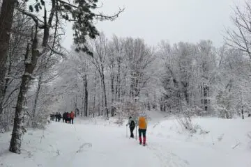 Planina Rudnik izlet