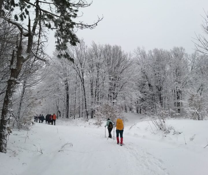 Planina Rudnik izlet