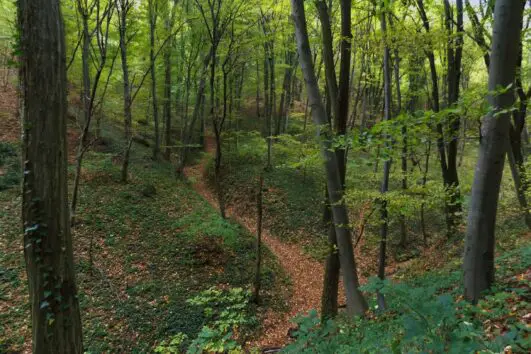 Avala pešačenje hiking