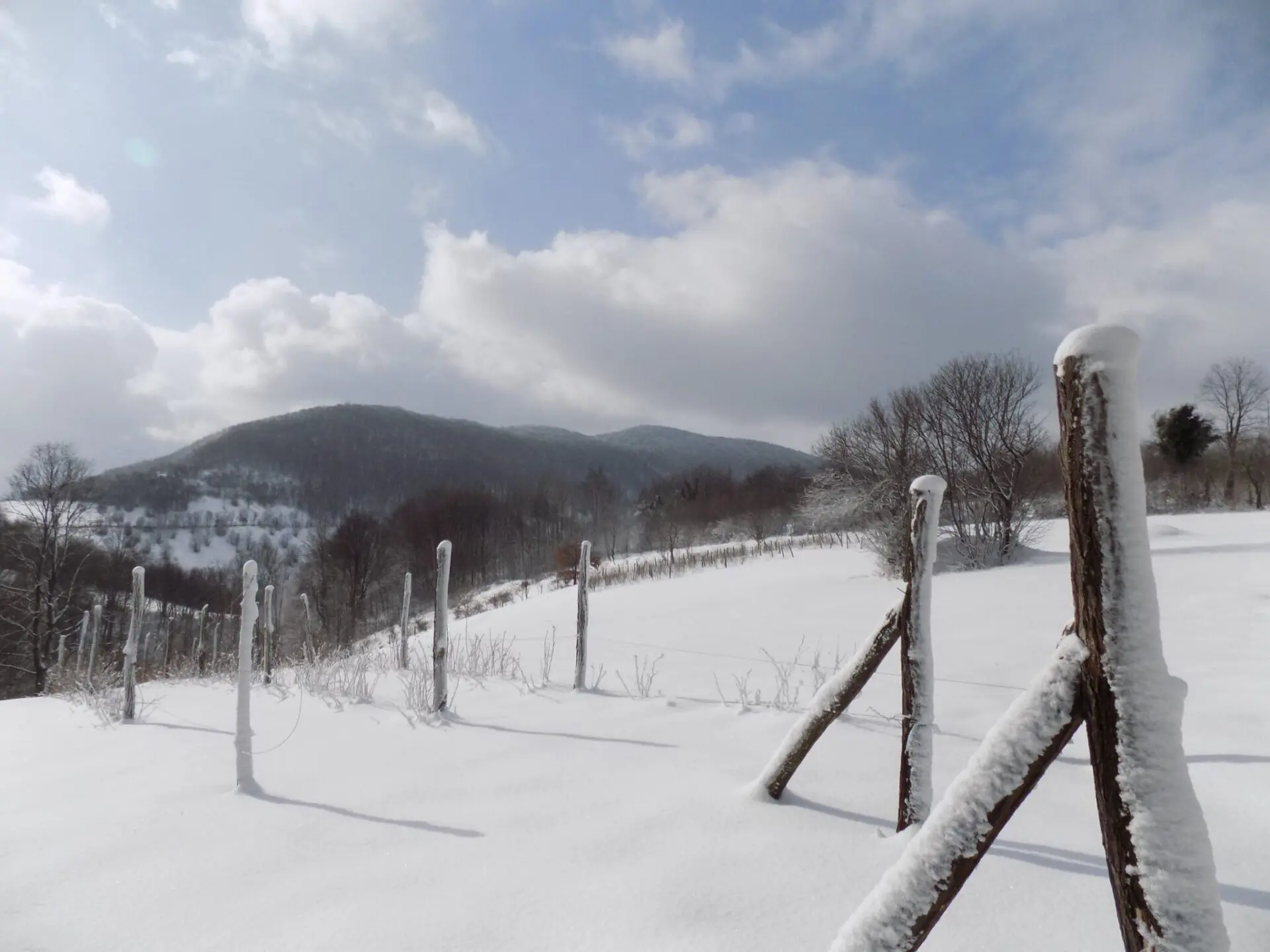 Planina Magleš