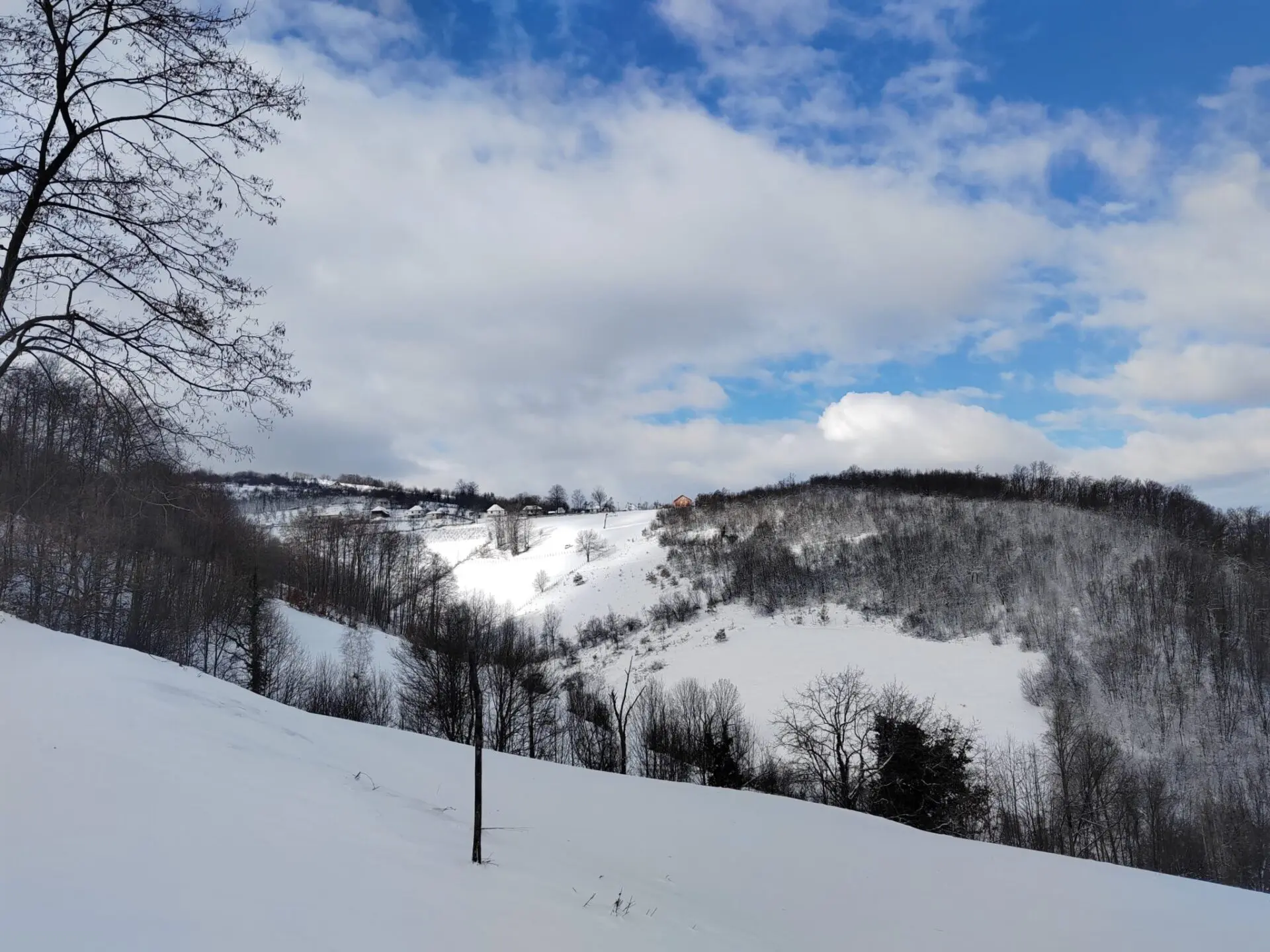 Planina Magleš