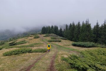 Old Mountain in autumn