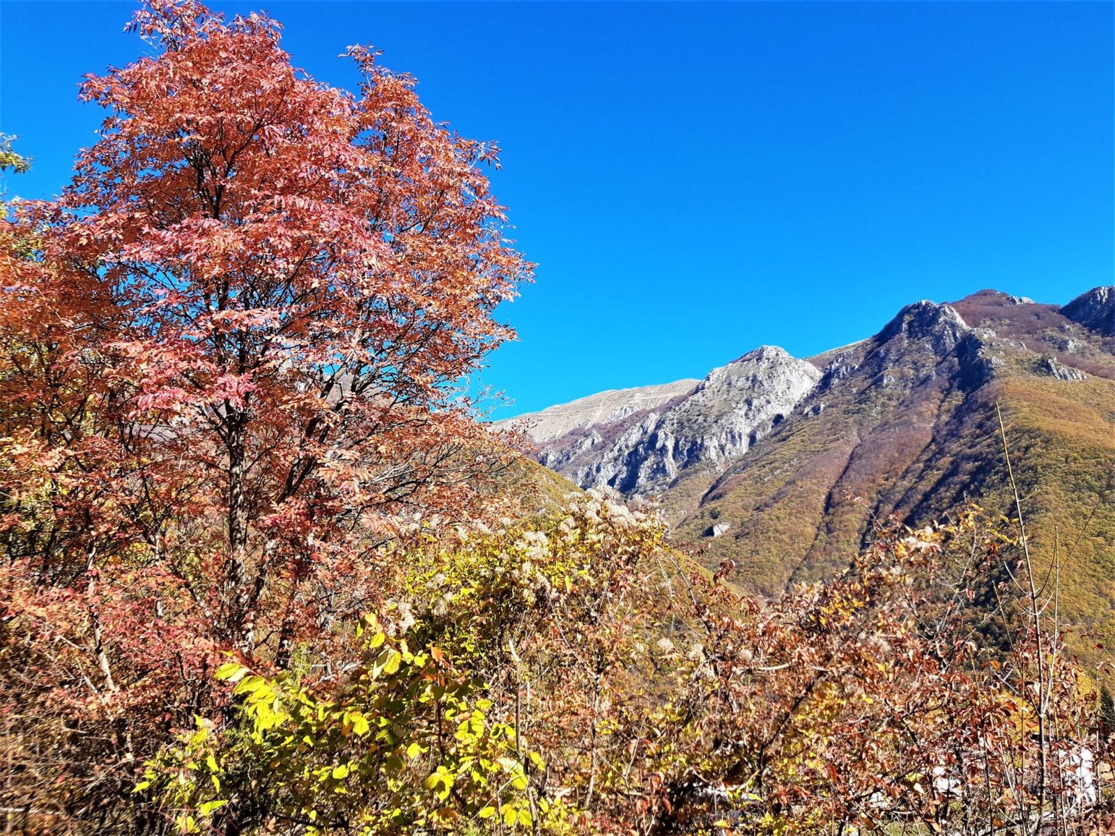 Šar-planina u jesen