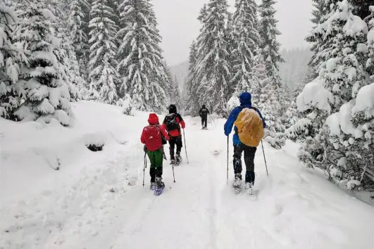 Snowshoeing on Kopaonik