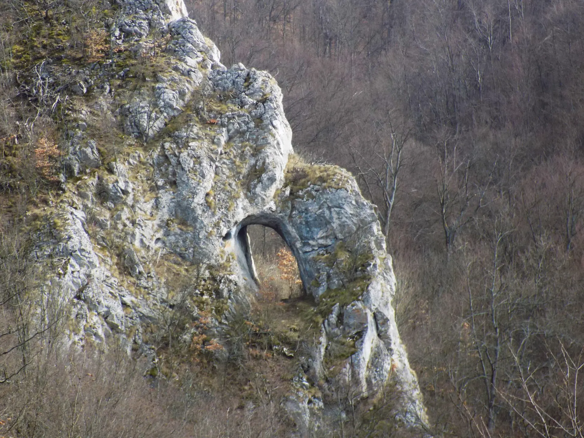 Planina Krstatac, Bogova vrata, izvor Buk