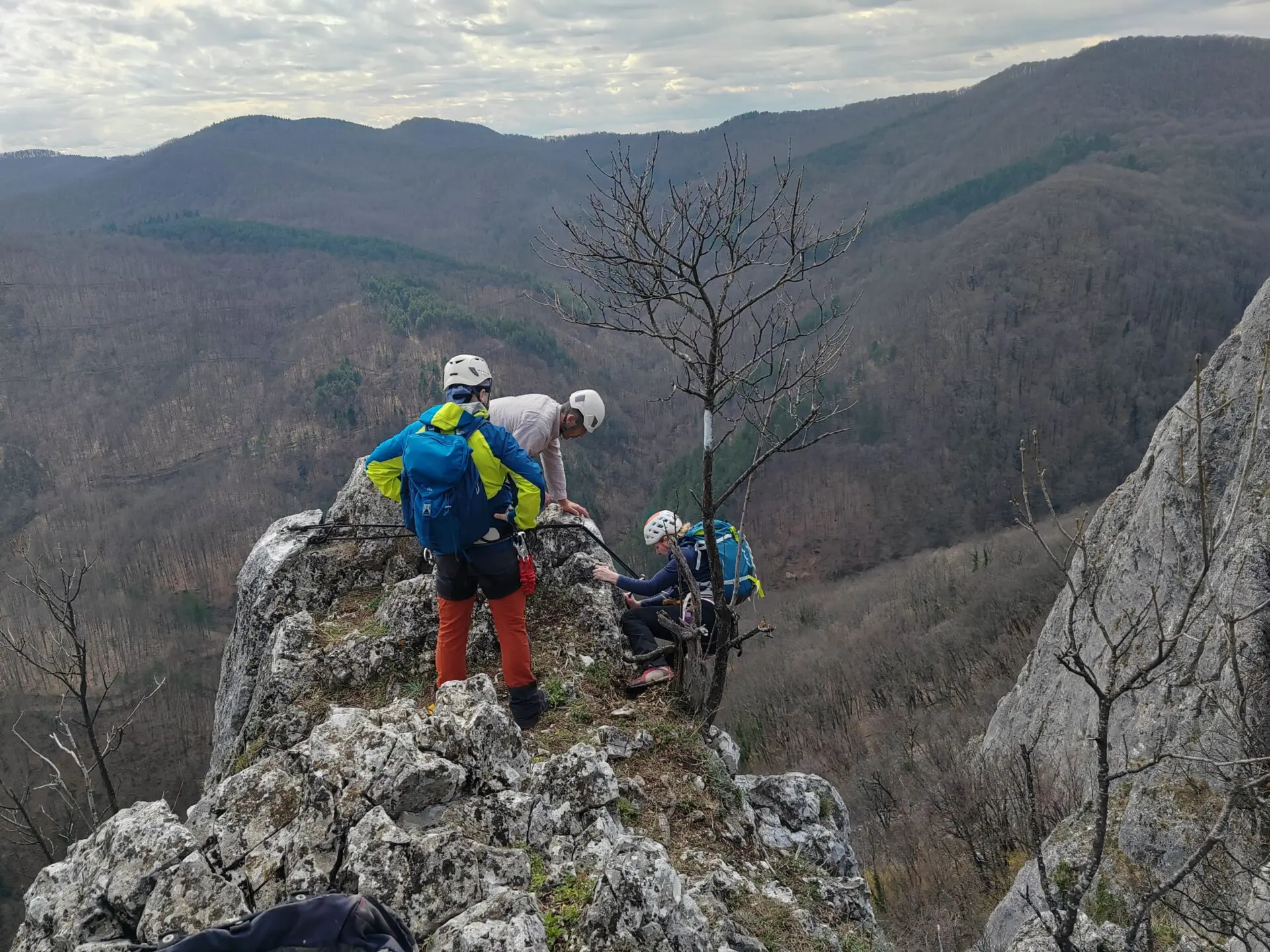 Alpinizam na Jelici