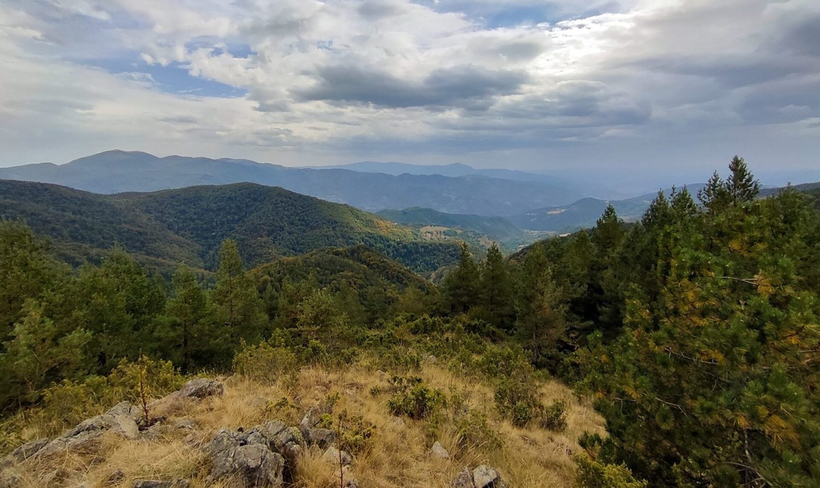 Studena Mount, Kavgalija peak