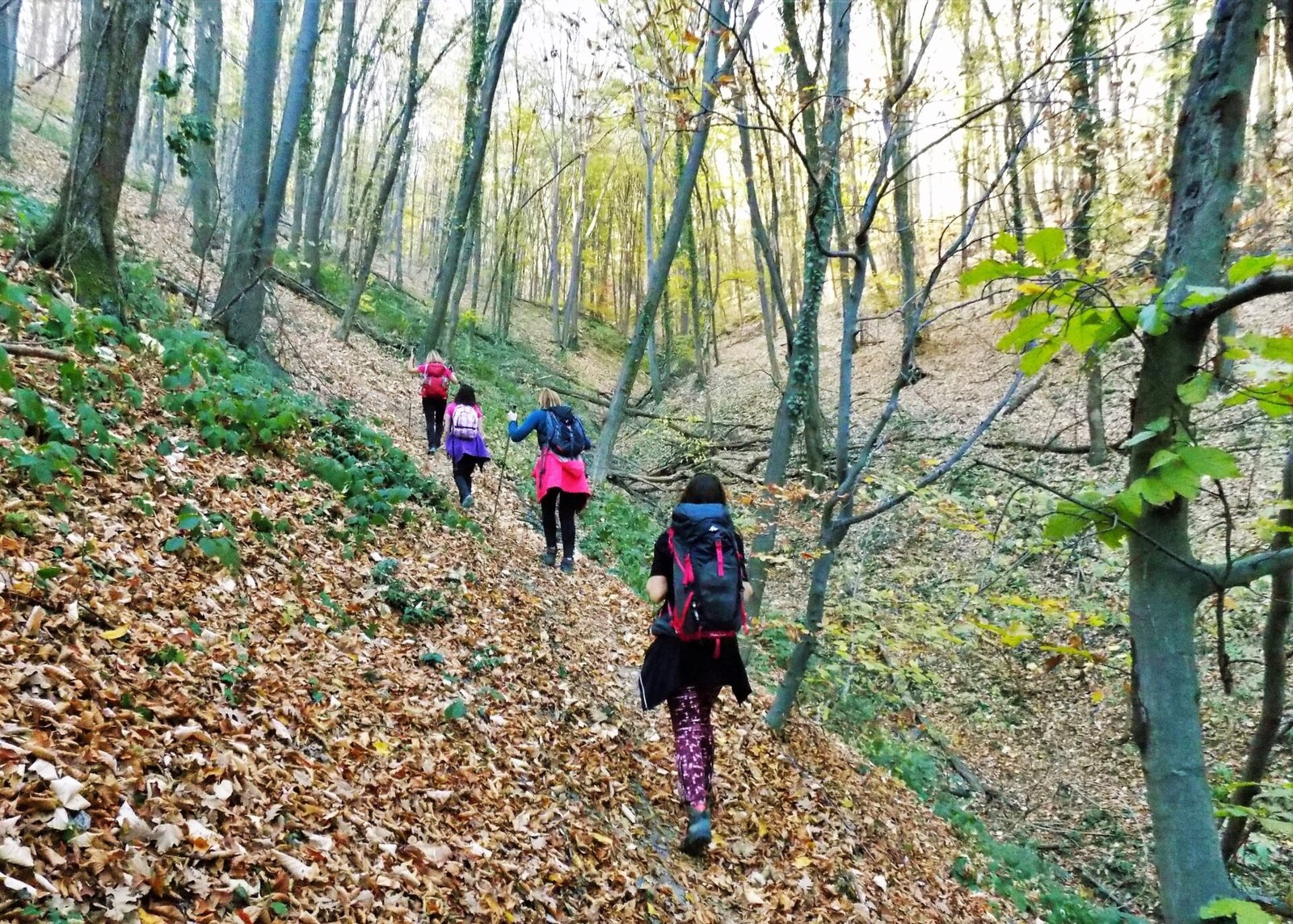 Fruška gora u jesen-Iriški venac, Novo i Staro Hopovo